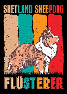 Shetland Sheepdog Flstere