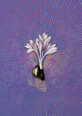 Autumn Crocus 3 Violet