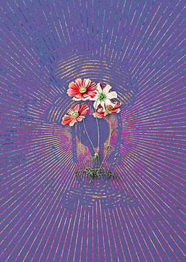 Fine Leaf Cosmus Flower