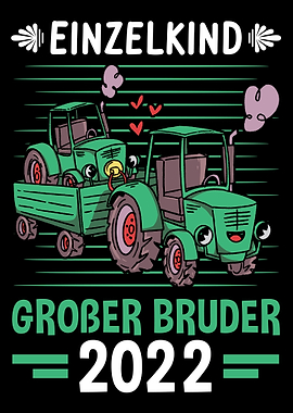 Einzelkind Groer Bruder 2