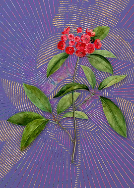 Mountain Laurel Branch