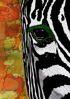 Zebra Eye