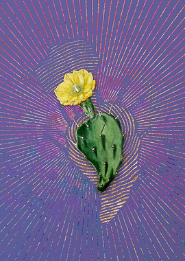 One Spined Opuntia Flower