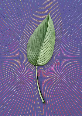 Powdery Alligator Flag 1