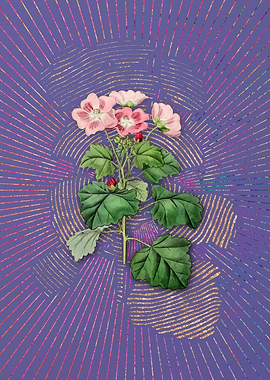 Rhomb Leaf Palavia Flower