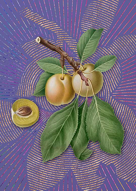 Purple Vintage Prune Art