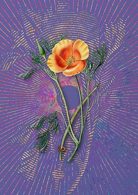 Saffron Color Eschscholzia