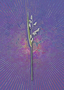 Powdery Alligator Flag 2