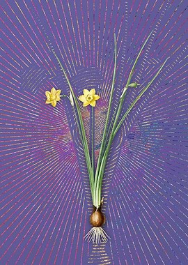 Purple Vintage Daffodil 3
