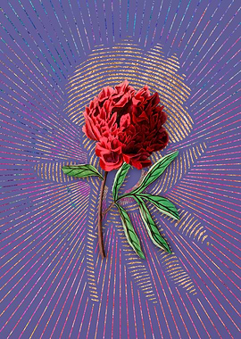 Potts Chinese Peony Art