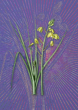 Purple Vintage Slime Lily