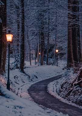 Winter Forest Lanterns