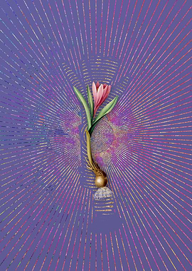 Spring Meadow Saffron