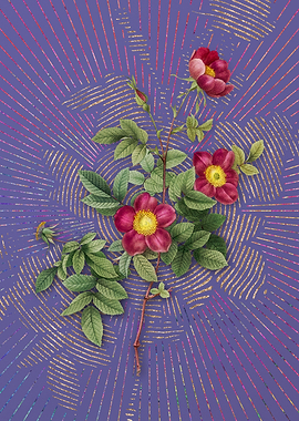 Vintage Alpine Rose Purple