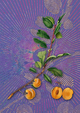 Vintage Apricot Violet