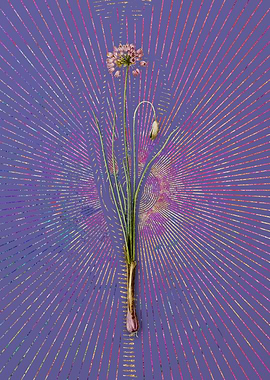 Vintage Autumn Onion Art