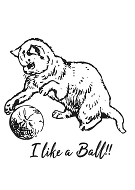 My cat like a ball
