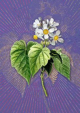 Vintage African Hemp Art