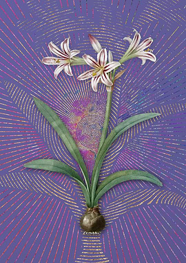 Vintage Amaryllis 2 Purple