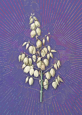 Vintage Adams Needle