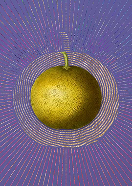 Vintage Adams Apple Art