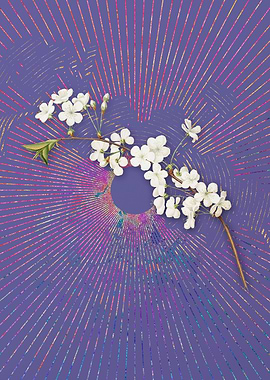 Vintage Amarena Cherry