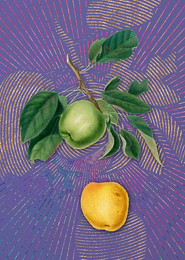 Vintage Apple 6 Fruit