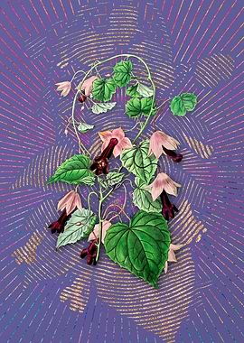 Twinning Red Cloak Flower