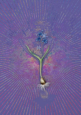 Vintage Alpine Squill