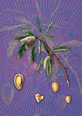 Vintage Almond 2 Flora