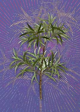 Vintage Bitter Willow