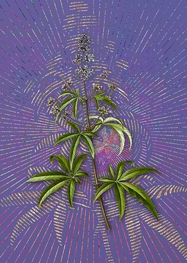 Vintage Chaste Tree Purple