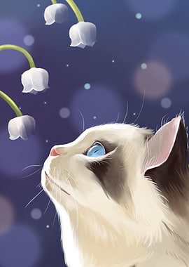 Cute Cat and Flower Lily