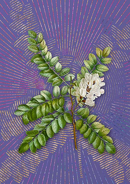 Vintage Clammy Locust