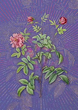 Vintage Cinnamon Rose