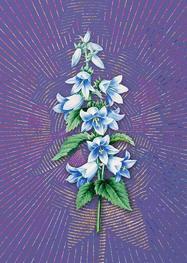 Vintage Bellflowers Purple