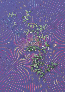 Vintage Bridal Creeper