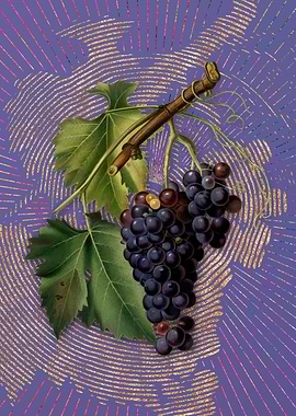 Vintage Black Grape Fruit