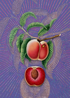 Vintage Carrot Peach Art
