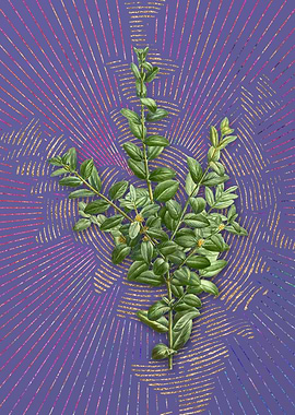 Vintage Boxwood Bush Art