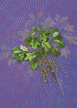 Vintage Bear Oak Flora