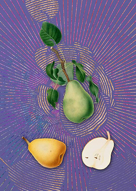 Vintage Winter Citron