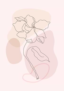 Botanical flower line art