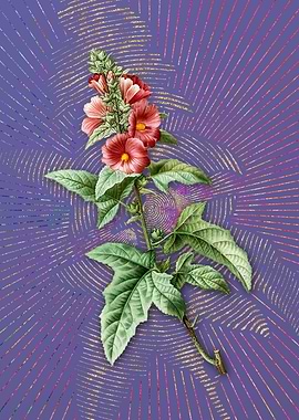 Vintage Tree Mallow Purple