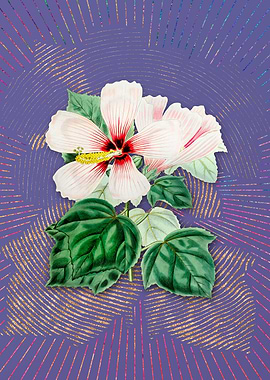 Vintage Marsh Hibiscus