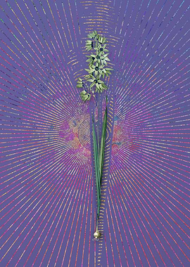 Vintage Turquoise Ixia