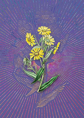 Vintage Madia Flower Art