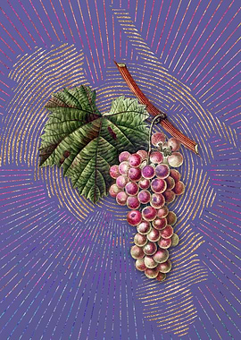 Vintage Grape Vine Fruit 3