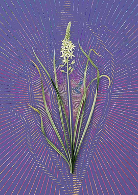 Vintage Wild Asparagus