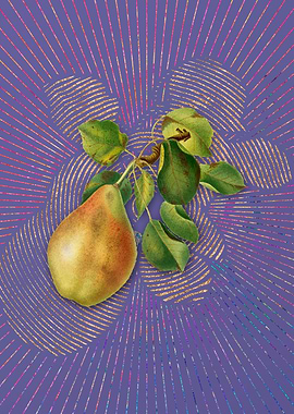 Vintage Pear Branch Purple